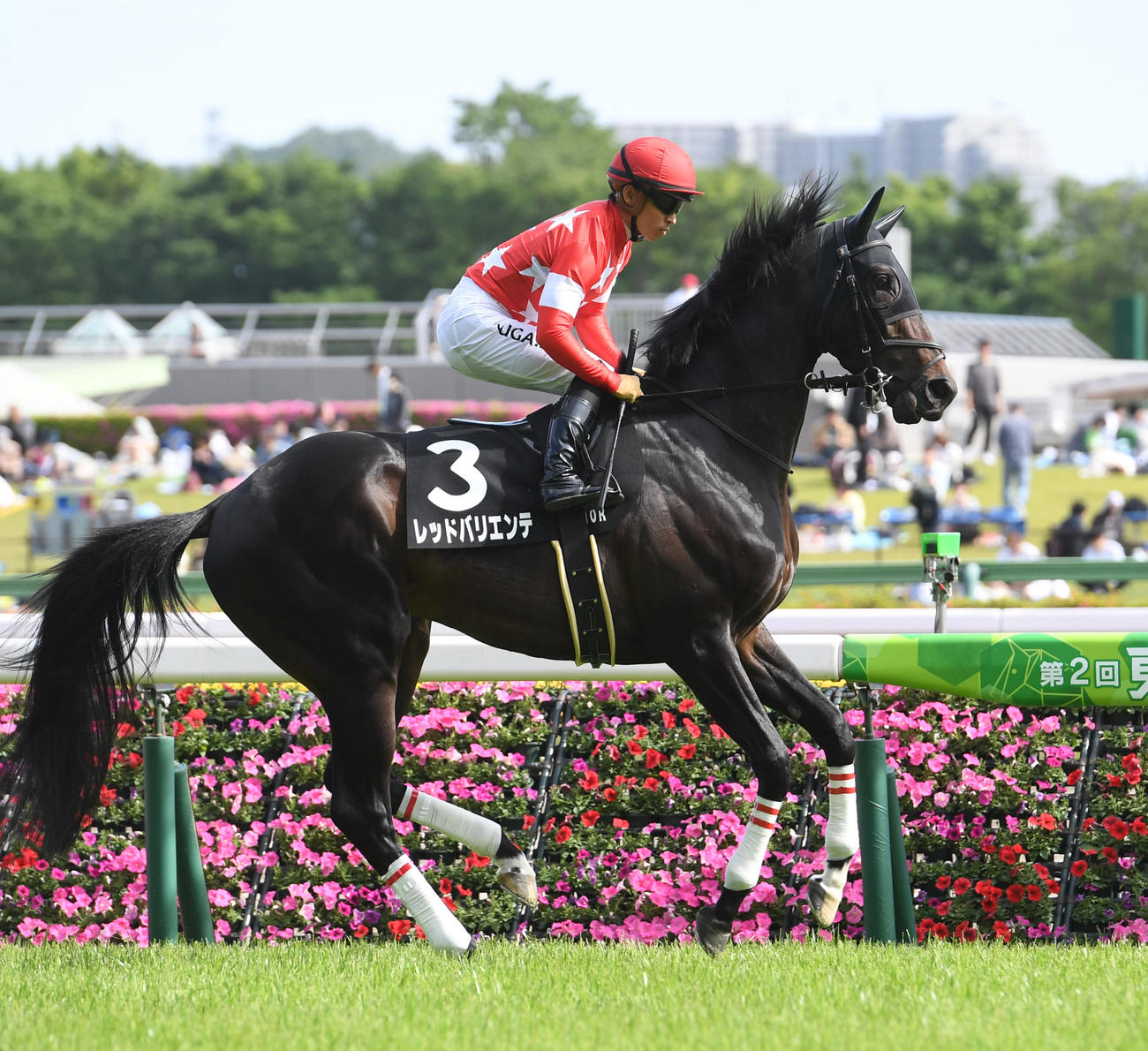レッドバリエンテ（2023年4月29日撮影）