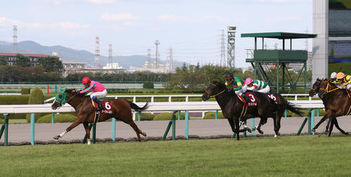ローズSを制したヌーヴォレコルト(2014年9月21日撮影)