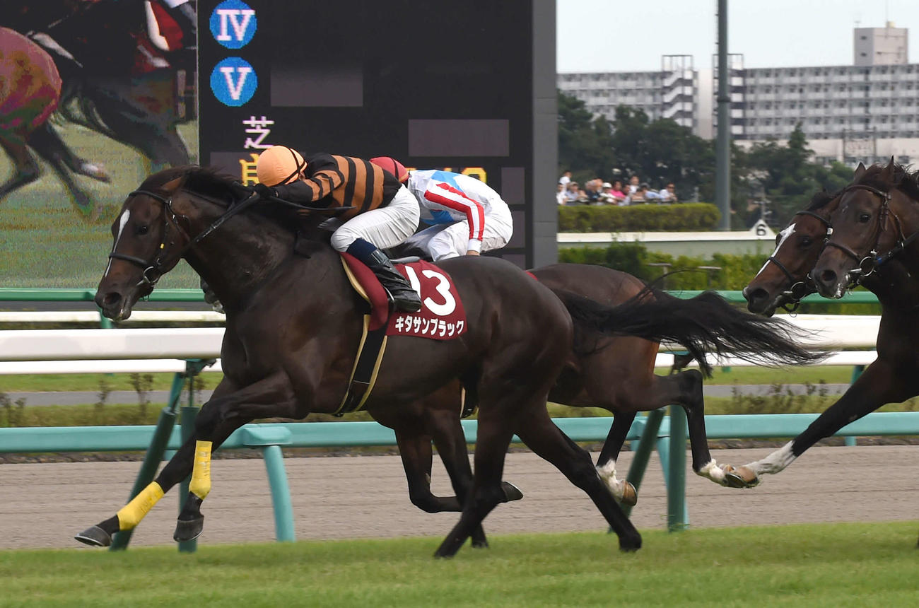 2015年のセントライト記念を制したキタサンブラック