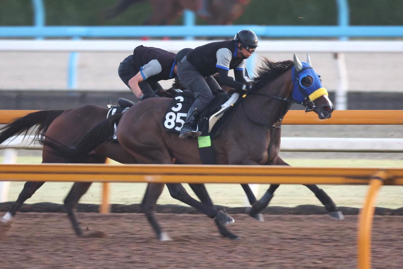 併せ馬で速い時計を出したコンクシェル（右）