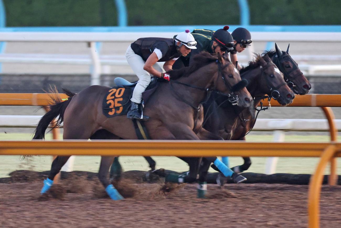 ラファドゥラ（左）は関西馬の胸を借りて追い切られた（中はリチャードバローズ、右はレアシャンパーニュ）