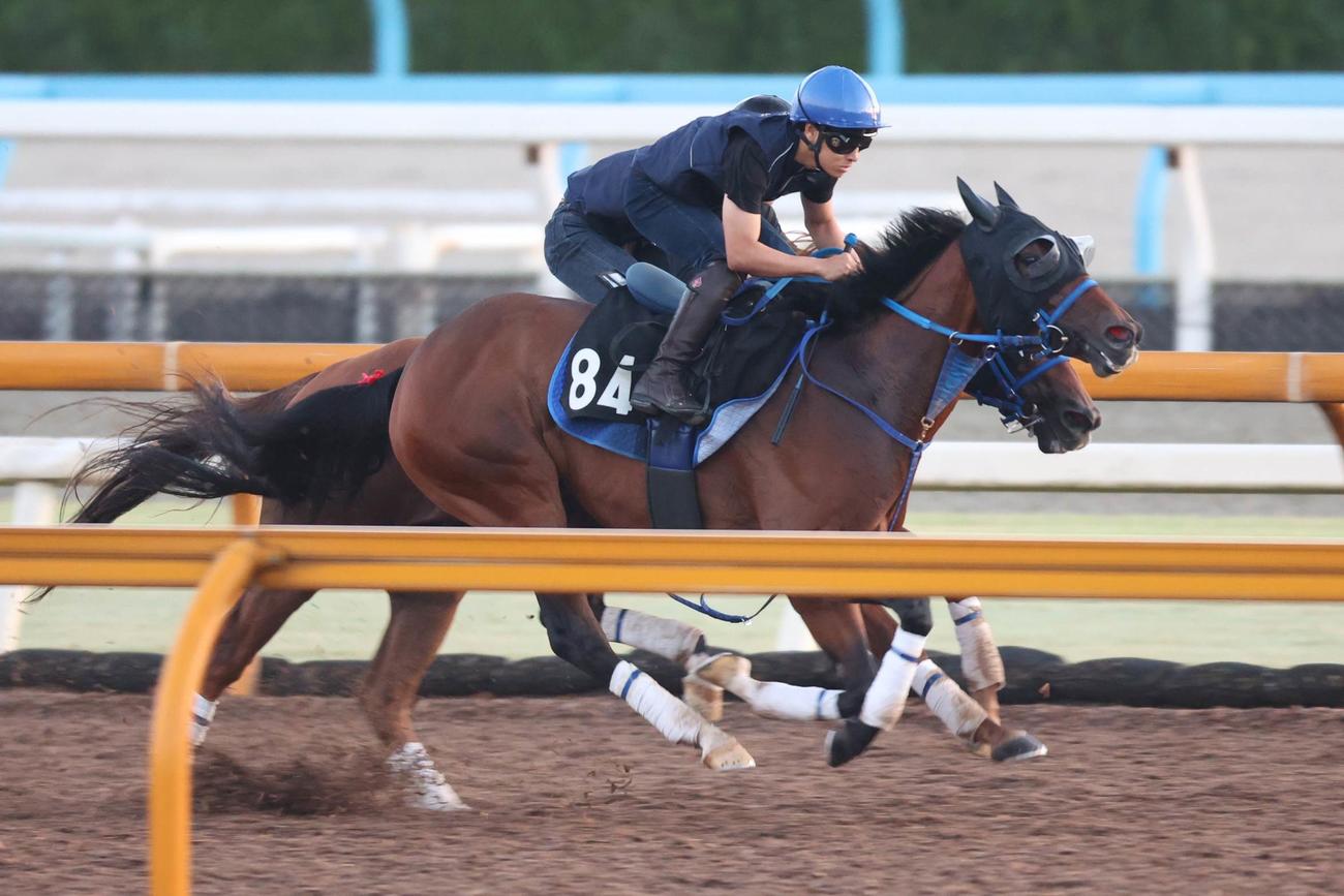 吉田隼騎手が騎乗し、併せ馬に先着するアンリーロード（右）