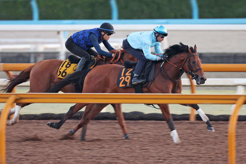 ルメール騎手が騎乗し、栗東Cウッドで古馬に先着したブレイディヴェーグ。左はライリッズ