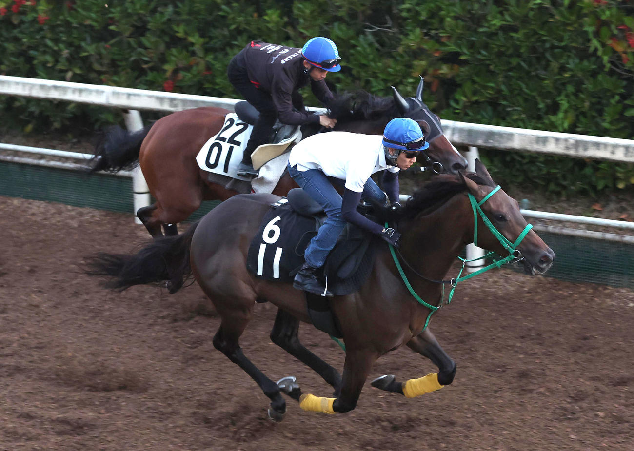 武豊騎手を背に坂路をモズブーナー（左）と併せ馬で追い切るソーダズリング（2023年9月13日撮影）