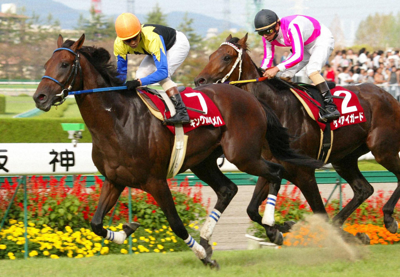 04年神戸新聞杯を制したキングカメハメハと安藤勝己騎手（左）