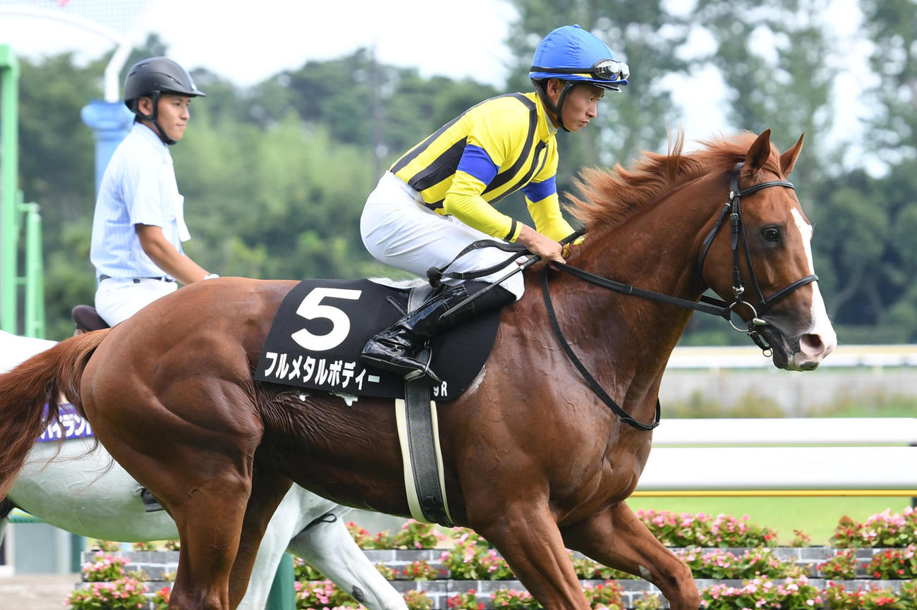 7月30日、豊栄特別13着に敗れたフルメタルボディー