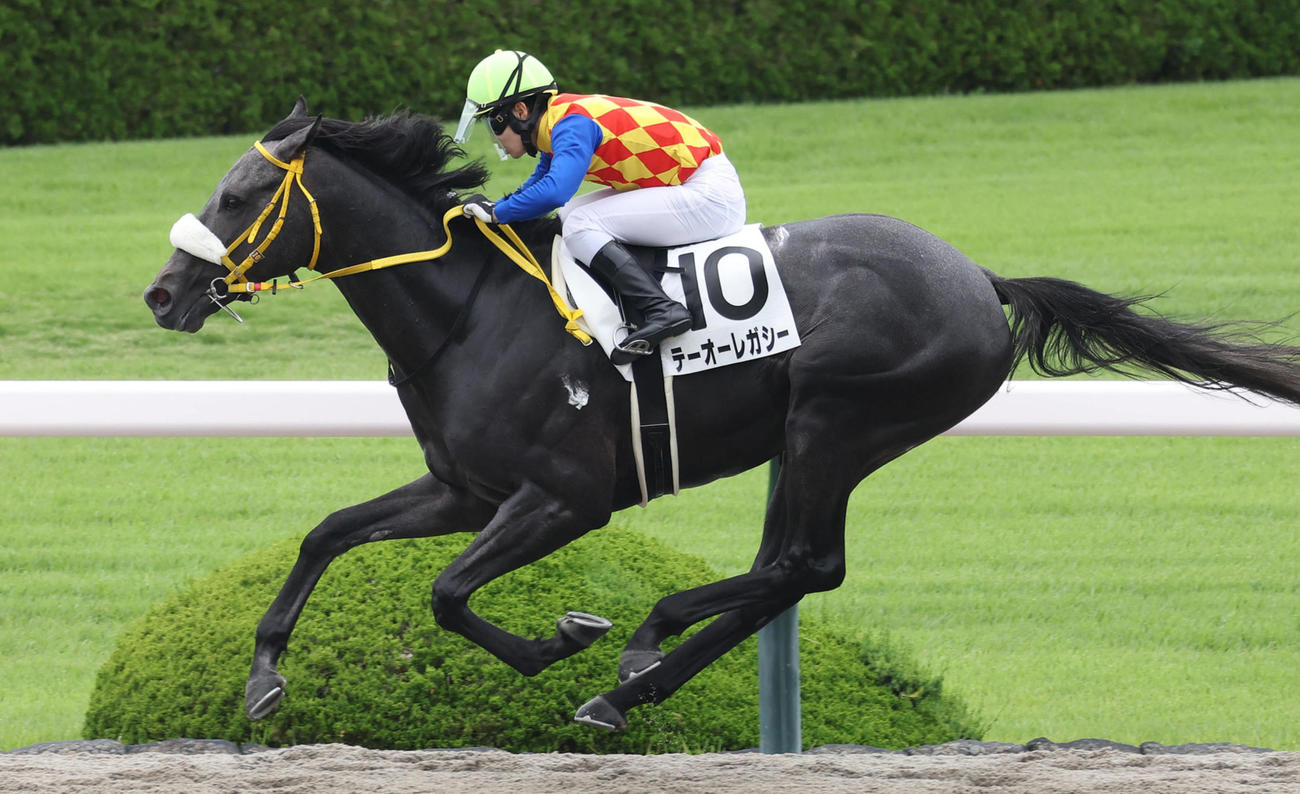 6月10日、3歳未勝利を勝ち上がったテーオーレガシー