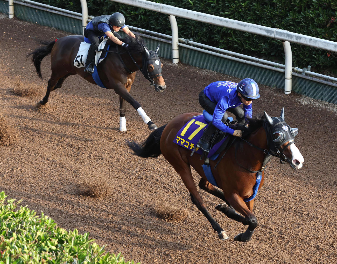 川田騎手を背に坂路をアステロイドベルト（左）と併せ馬で追い切るママコチャ（撮影・白石智彦）