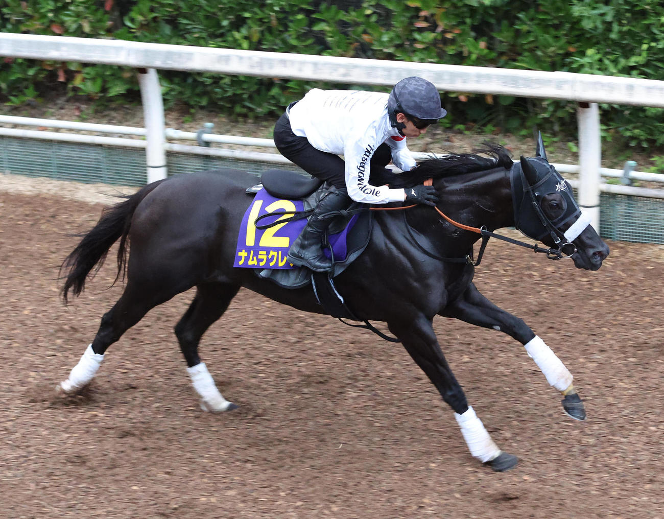 坂路を単走で追い切るナムラクレア（撮影・白石智彦）