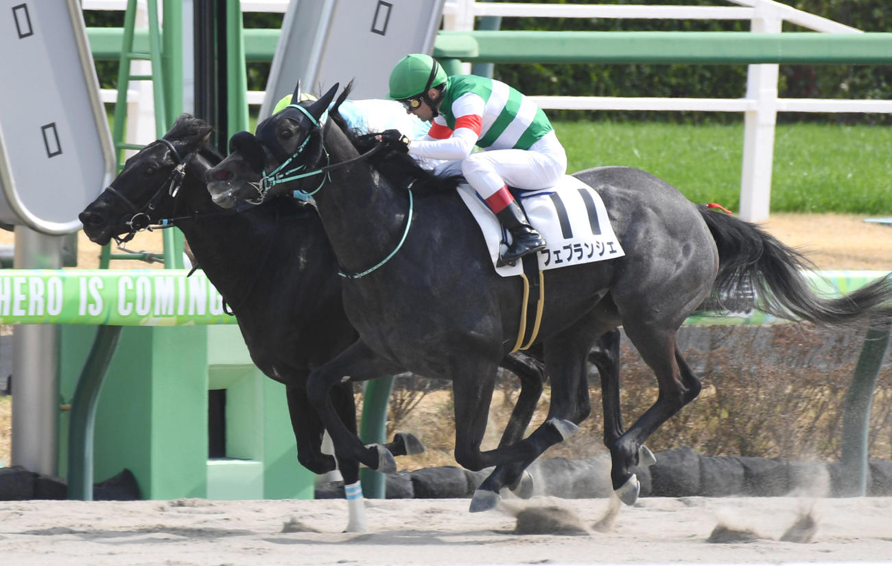 3月12日中山の3歳1勝クラスを制したフェブランシェ