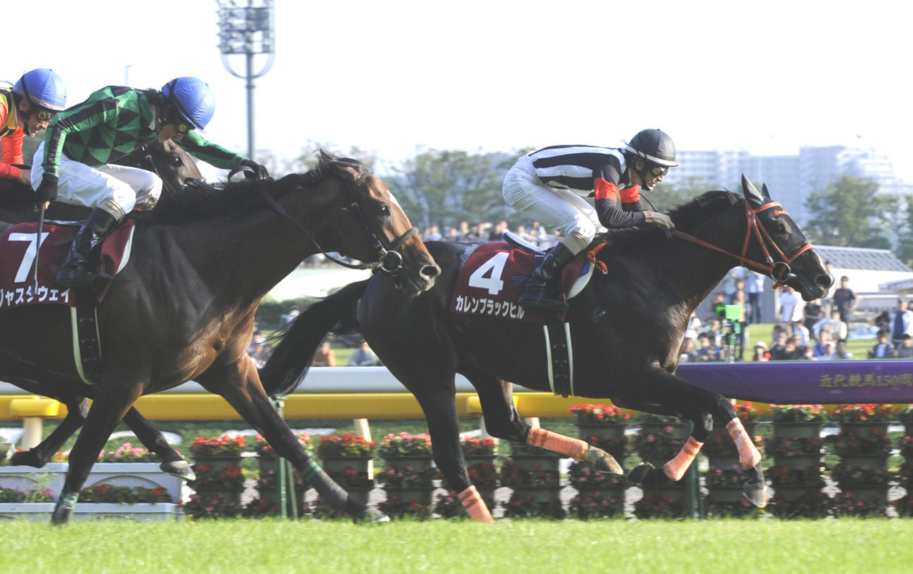 ジャスタウェイを抑え12年毎日王冠を制したカレンブラックヒル