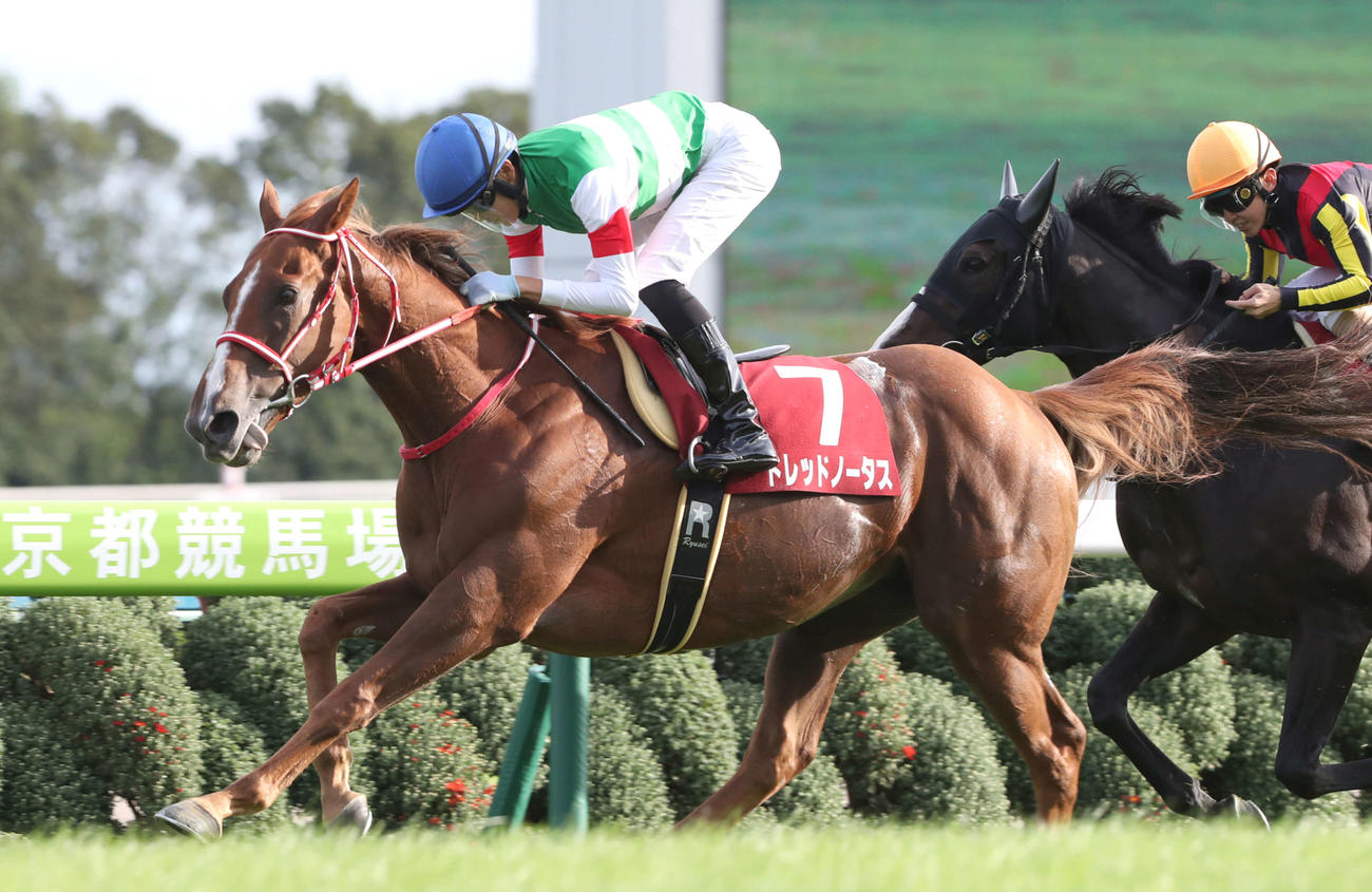 19年京都大賞典を制したドレッドノータスと坂井瑠星騎手