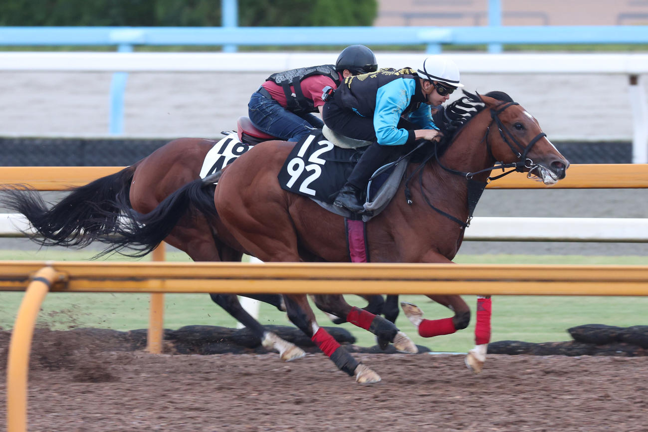 横山和騎手が騎乗し、併せ馬に先着したレーヴジーニアル（右）
