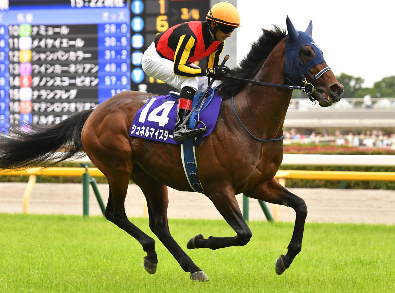 安田記念3着のシュネルマイスター