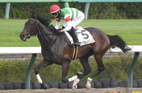 9月23日、中山12Rを制したサーマルソアリング