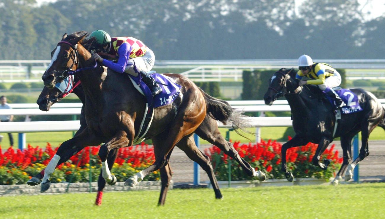 04年秋華賞を制したスイープトウショウと池添謙一騎手（左）。右は4着に敗れたダンスインザムード