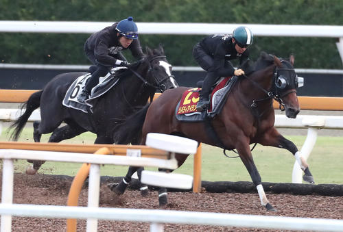 Cウッドをメイショウクーガー(左)と併せ馬で追い切るリバティアイランド(撮影・白石智彦)