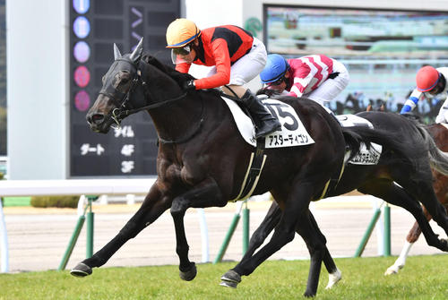 アスターディゴン（2022年2月6日撮影）