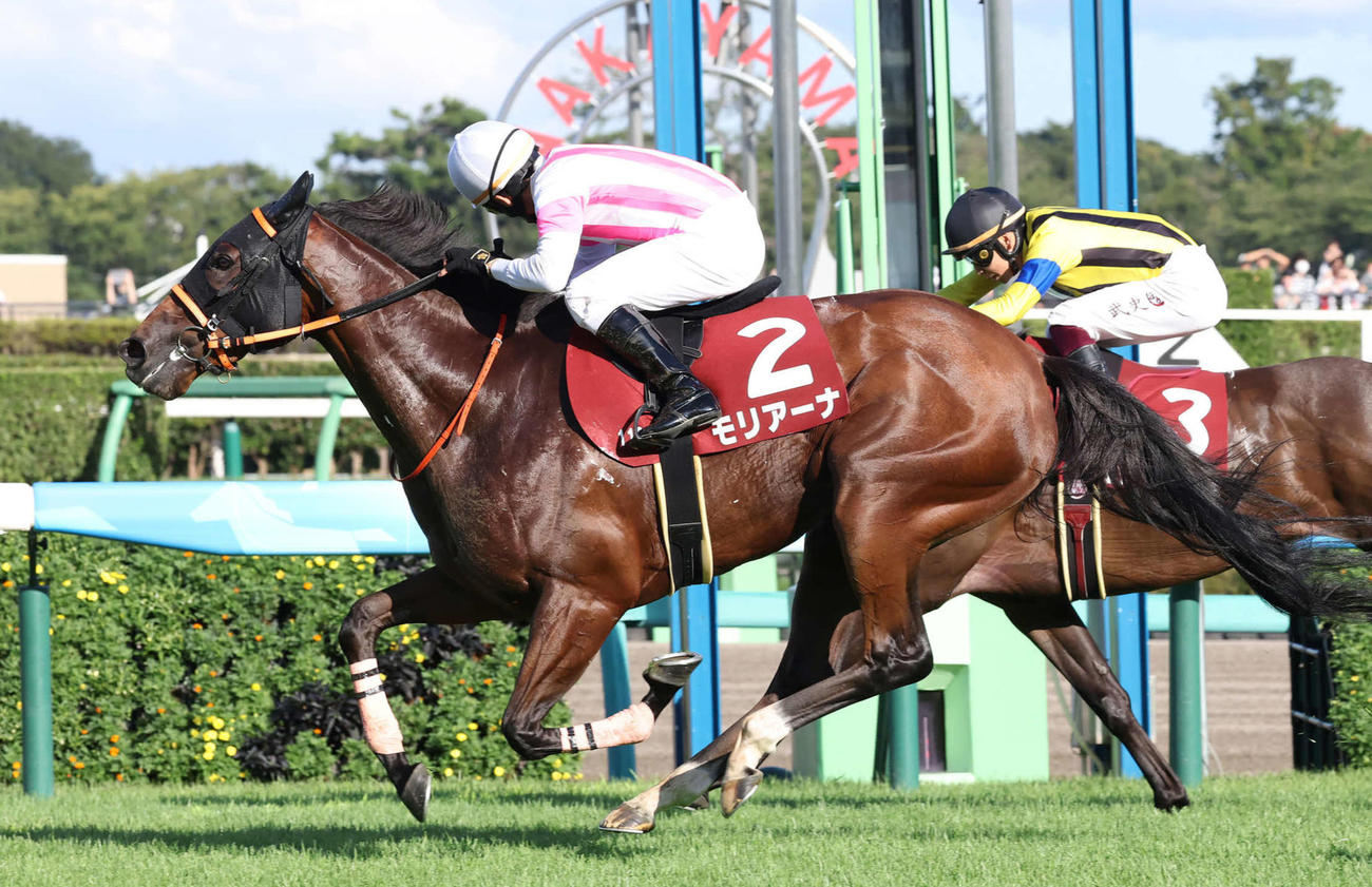 9月9日、紫苑Sを制したモリアーナと横山典弘騎手