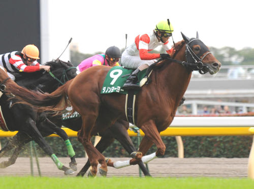 10年富士Sを制したダノンヨーヨー