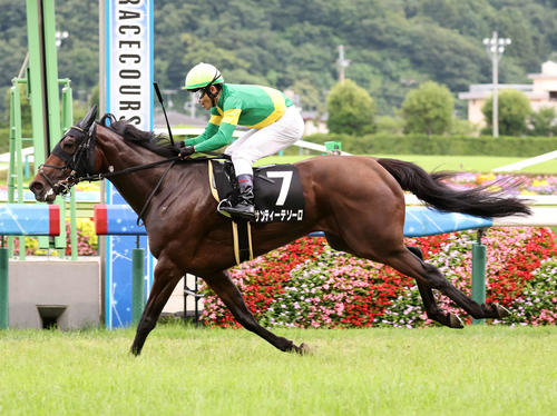 サンティーテソーロ(2023年7月9日撮影)