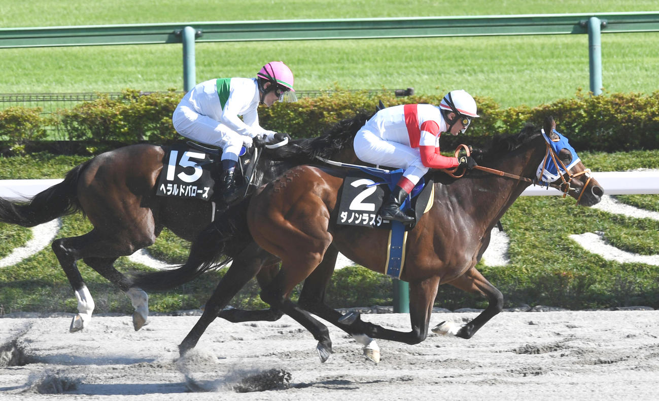 スレイプニルSを制したダノンラスター（右）と2着ヘラルドバローズ