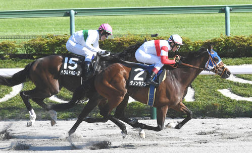 スレイプニルSを制したダノンラスター（右）と2着ヘラルドバローズ