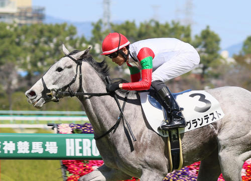 グランテスト（2023年3月撮影）