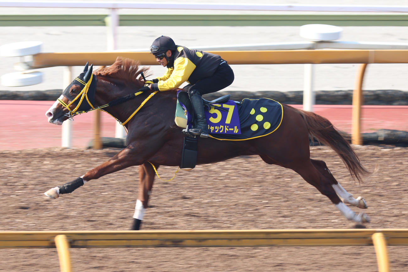 CWコース単走で反応良く脚を伸ばすジャックドール