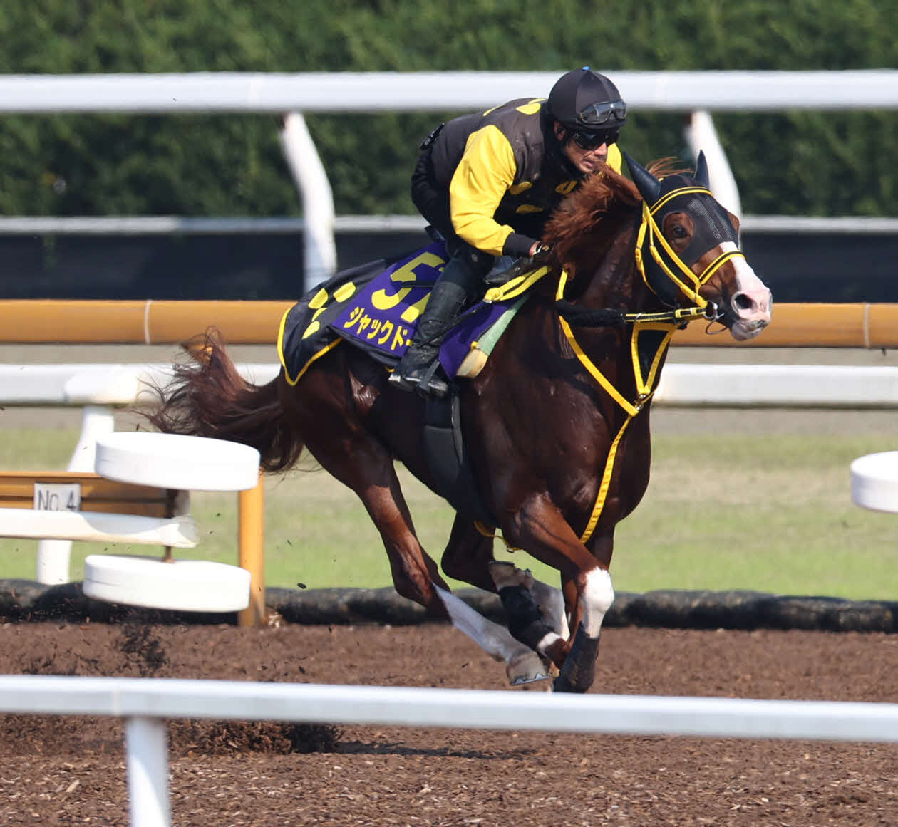 Cウッドコースで追い切るジャックドール