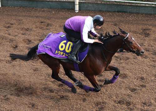 坂路を単走で追い切るドウデュース（撮影・白石智彦）
