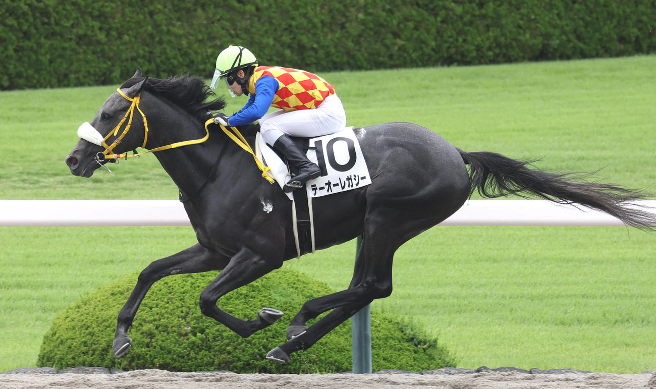 6月10日、3歳未勝利を勝ち上がったテーオーレガシー