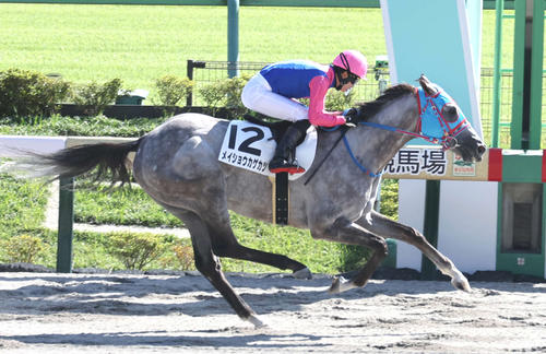 7日、3歳上1勝クラスを制したメイショウカゲカツ