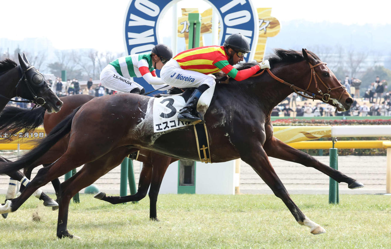 2月19日東京7R、4歳上1勝クラスを制したエスコバルとモレイラ騎手
