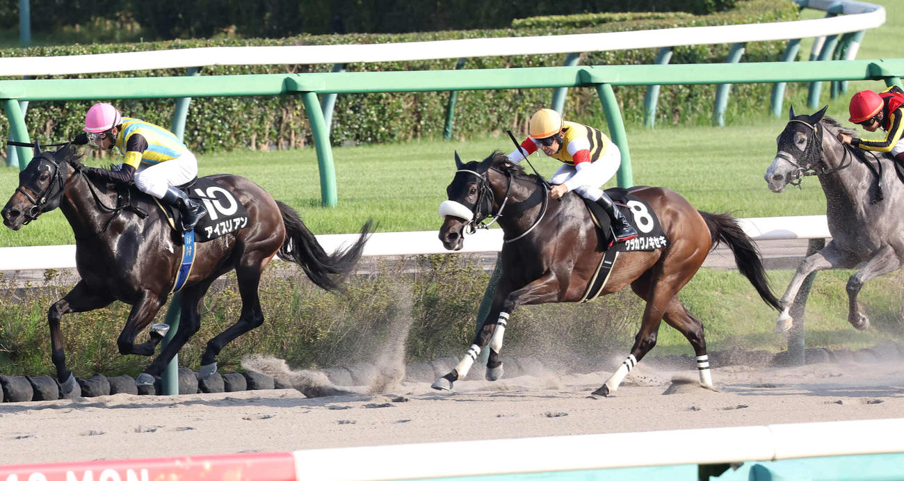9月16日、初風S2着のウラカワノキセキ（右）