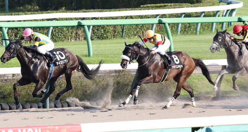 9月16日、初風S2着のウラカワノキセキ(右)