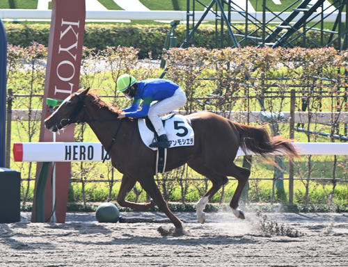 10月15日京都2Rの未勝利戦を勝ち上がったアンモシエラ