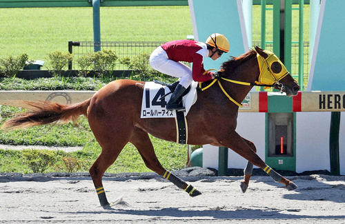 10月7日、2歳未勝利を制したロールハーアイズと菅原明良騎手