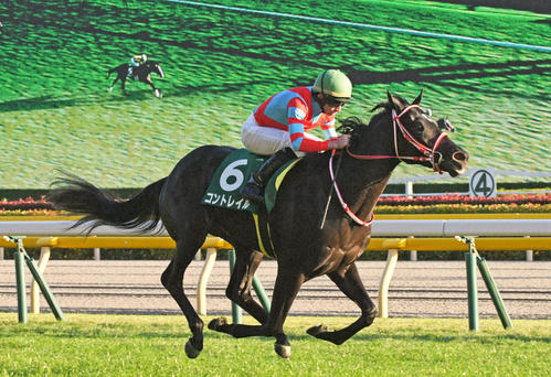 19年東スポ杯2歳Sを制したコントレイル