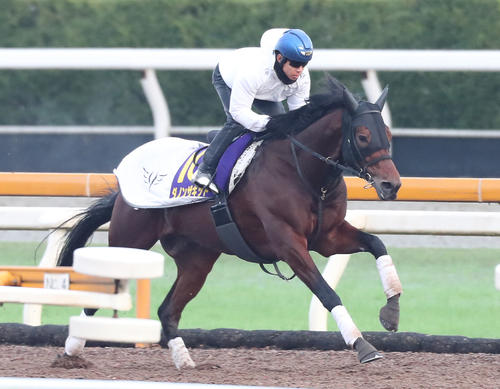 北村友騎手を背にCウッドを単走で追い切るダノンザキッド（撮影・白石智彦）
