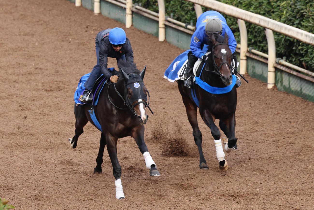 併せ馬に先着するソウルラッシュ（左）