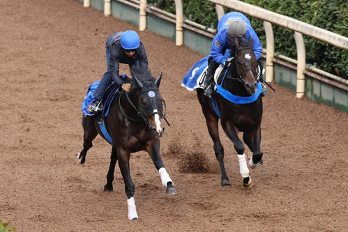 併せ馬に先着するソウルラッシュ(左)