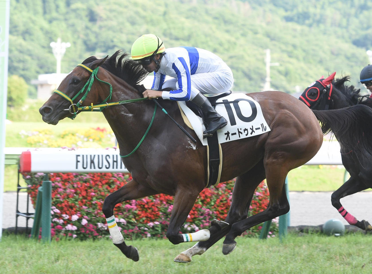 7月24日福島12R3歳上1勝クラスを制したオードゥメール
