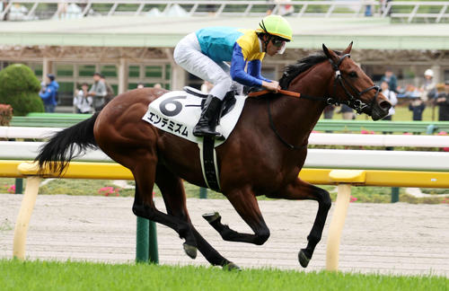 4月22日、3歳未勝利を制したエンデミズム