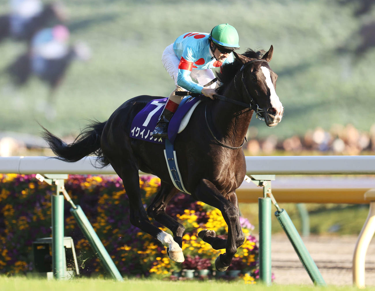 天皇賞・秋を制したイクイノックスとC・ルメール騎手
