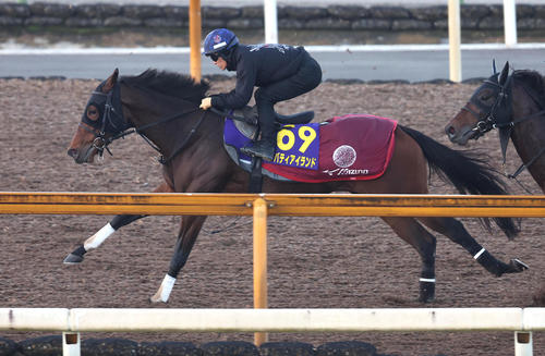 川田騎手を背にCウッドを併せ馬で追い切るリバティアイランド（撮影・白石智彦）