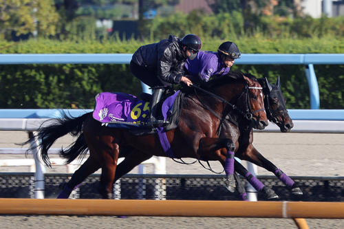 併せ馬で時計を出したドウデュース（手前）