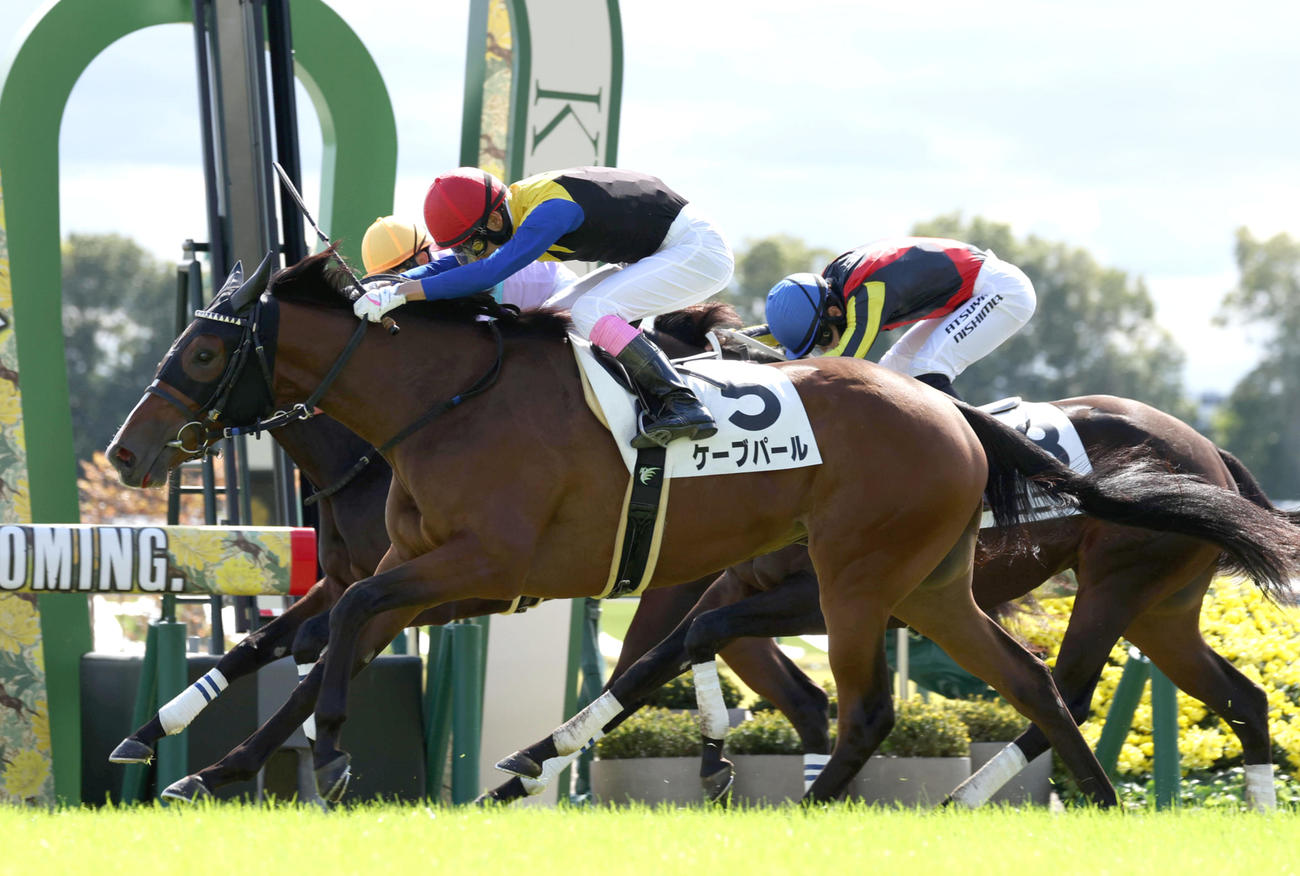 10月21日、新馬戦を制したケーブパール