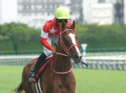 ルージュラテール（2023年7月撮影）