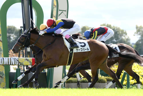 10月21日、新馬戦を制したケーブパール